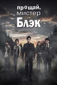 Постер сериала Прощайте, мистер Блэк
