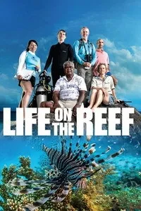 Постер сериала Жизнь на Большом Барьерном рифе