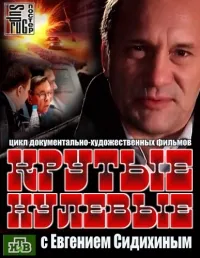 Постер сериала Крутые нулевые
