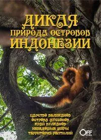 Постер сериала Дикая природа островов Индонезии