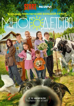 Постер сериала Многодетство