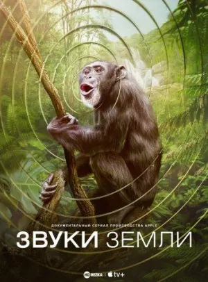 Постер сериала Звуки Земли