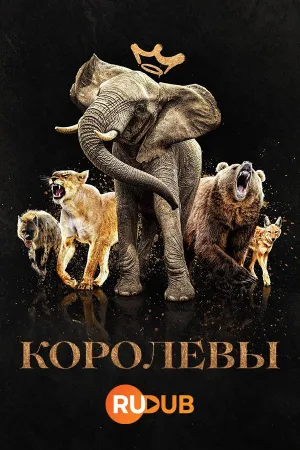 Постер сериала Королевы (2024)