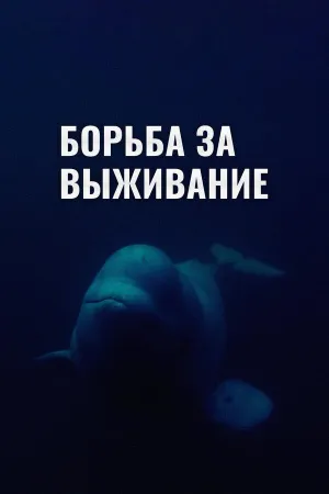 Постер сериала Борьба за выживание (2017)