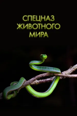 Постер сериала Спецназ животного мира
