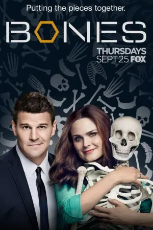 Постер сериала Кости, 11 сезон
