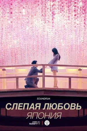 Постер сериала Слепая любовь. Япония