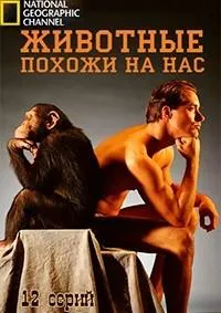 Постер сериала Животные похожи на нас