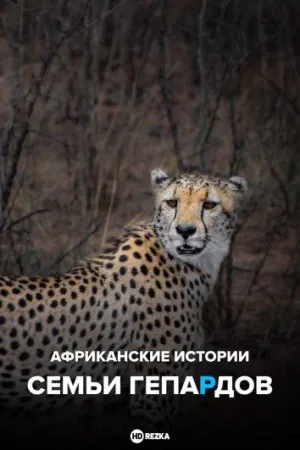 Постер сериала Африканские истории семьи гепардов