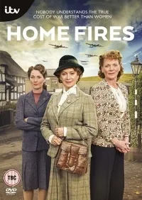 Постер сериала Домашние очаги
