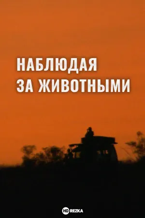 Постер сериала Наблюдая за животными