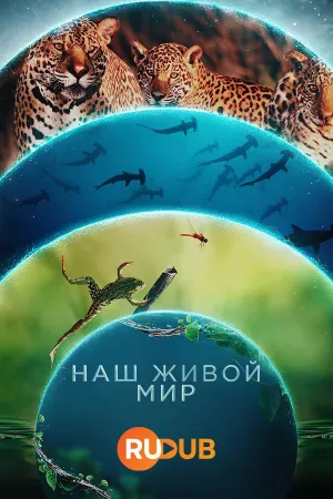 Постер сериала Наш живой мир
