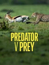 Постер сериала Хищник против жертвы, 2 сезон