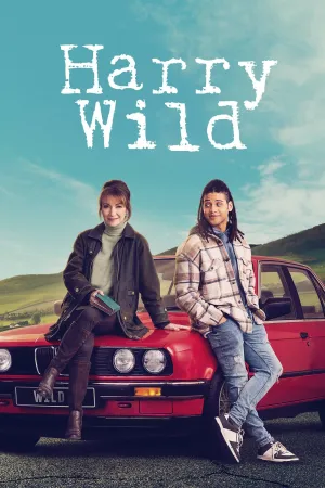 Постер сериала Харри Уайлд, 3 сезон