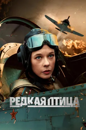 Постер сериала Редкая птица