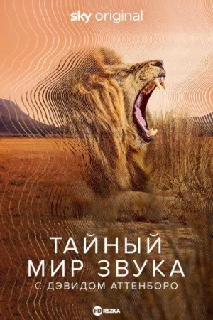 Постер сериала Тайный мир звука с Дэвидом Аттенборо