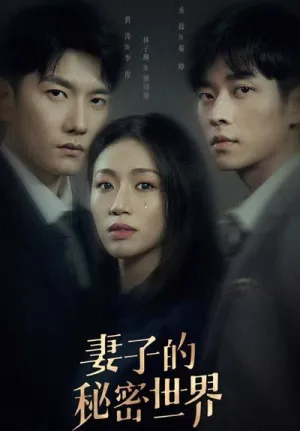 Постер сериала Тайный мир жены