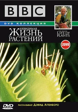Постер сериала Невидимая жизнь растений