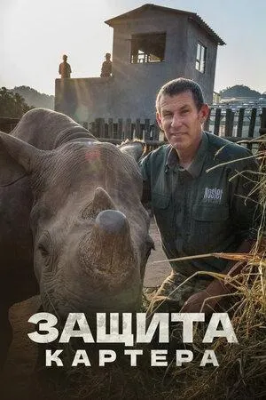 Постер сериала Защита Картера, 1 сезон