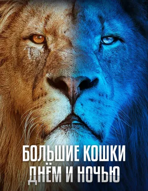 Постер сериала Большие кошки днем и ночью