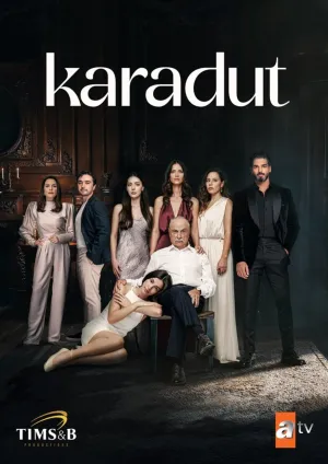 Постер сериала Черная шелковица