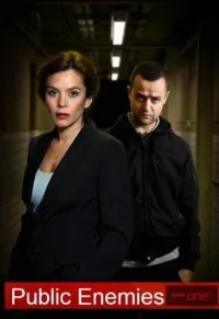 Постер сериала Враги общества