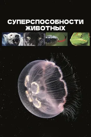 Постер сериала Суперспособности животных (2015)