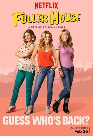 Постер сериала Более полный дом