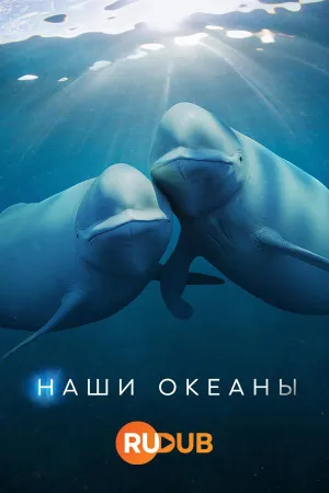 Постер сериала Наши океаны
