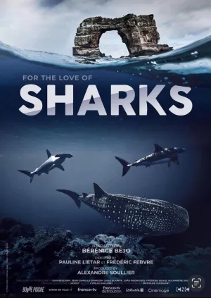 Постер сериала Акулы. Признание в любви