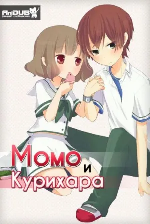 Постер сериала Момо и Курихара