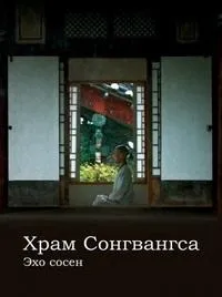 Постер сериала Храм Сонгвангса. Эхо сосен