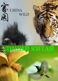 Постер сериала Дикий Китай