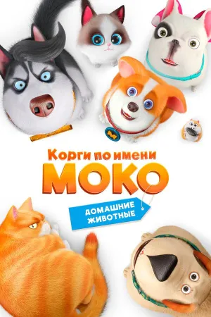 Постер сериала Корги по имени Моко. Домашние животные