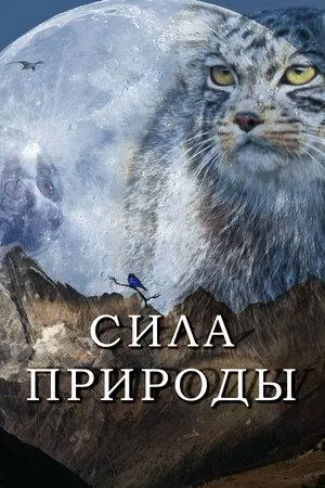 Постер сериала Сила природы