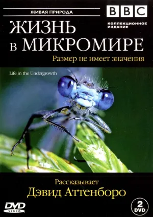 Постер сериала Жизнь в микромире