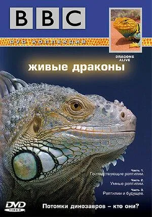 Постер сериала BBC: Живые драконы