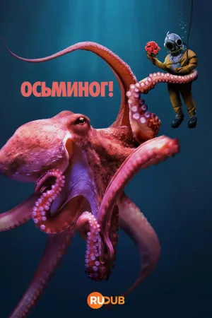 Постер сериала Осьминог!