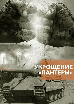 Постер сериала Укрощение «Пантеры»