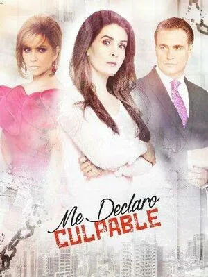 Постер сериала Я признаю свою вину