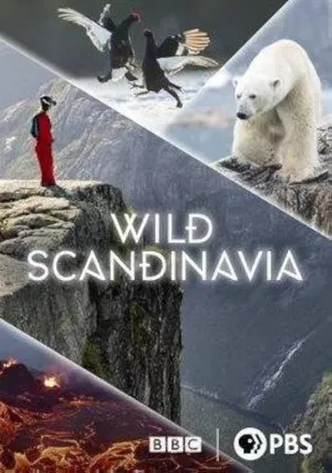 Постер сериала Дикая природа Скандинавии (2023)