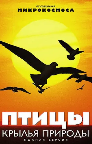 Постер сериала Птицы: Крылья природы