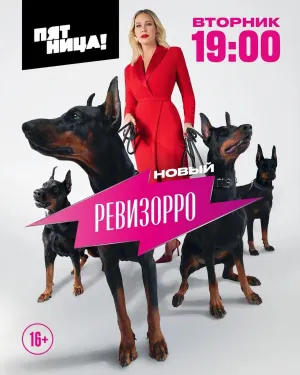 Постер сериала Ревизорро. Новый, 2 сезон