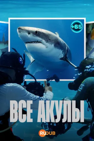 Постер сериала Все акулы