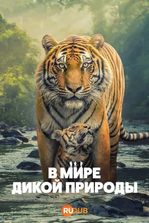 Постер сериала В мире дикой природы (2025)