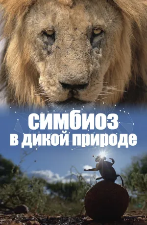 Постер сериала Симбиоз в дикой природе