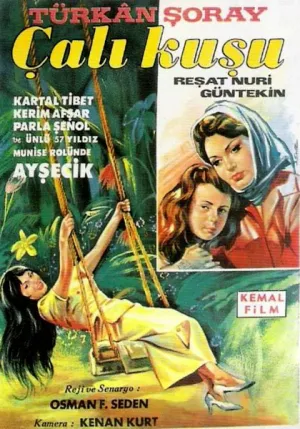 Постер сериала Королек - птичка певчая