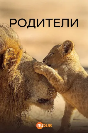Постер сериала Родители (2025)