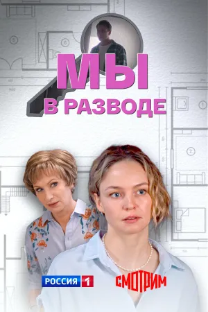 Постер сериала Мы в разводе