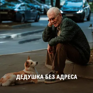 Постер сериала Дедушка без адреса